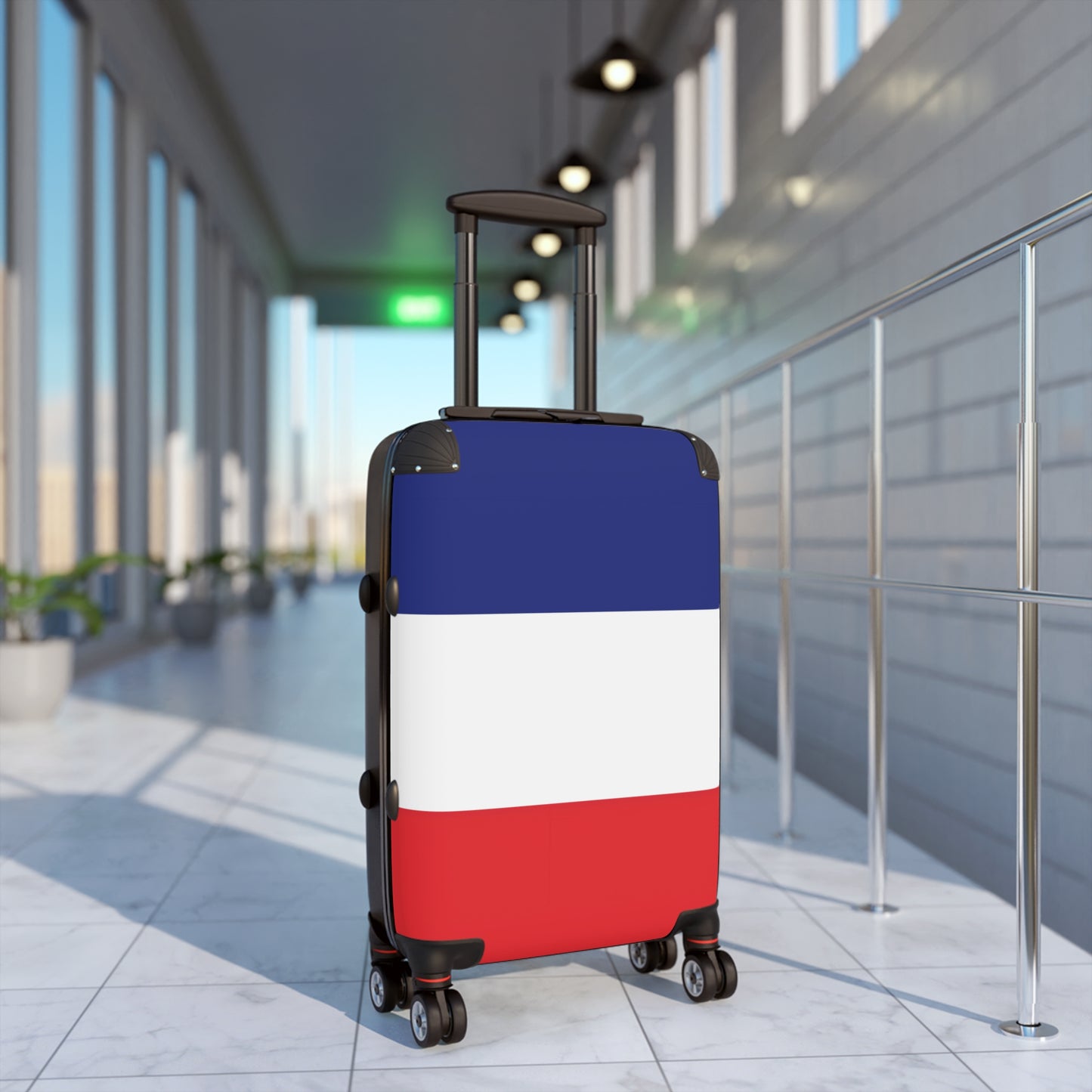 France Flag Inspired Suitcase