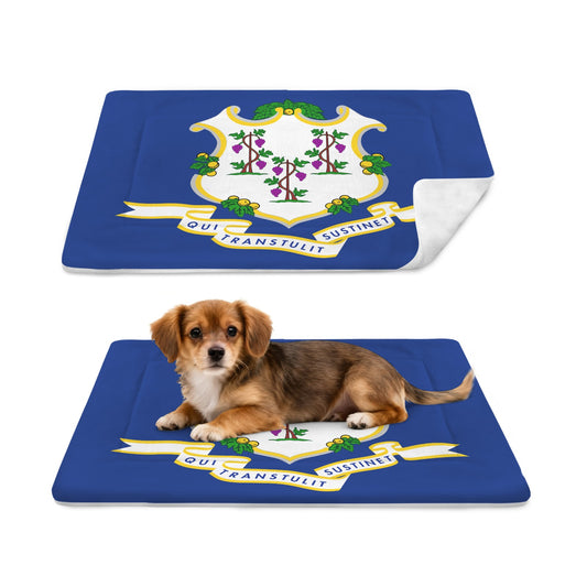 Connecticut Flag Inspired Pet Mat 25x18inch (Made in the USA)