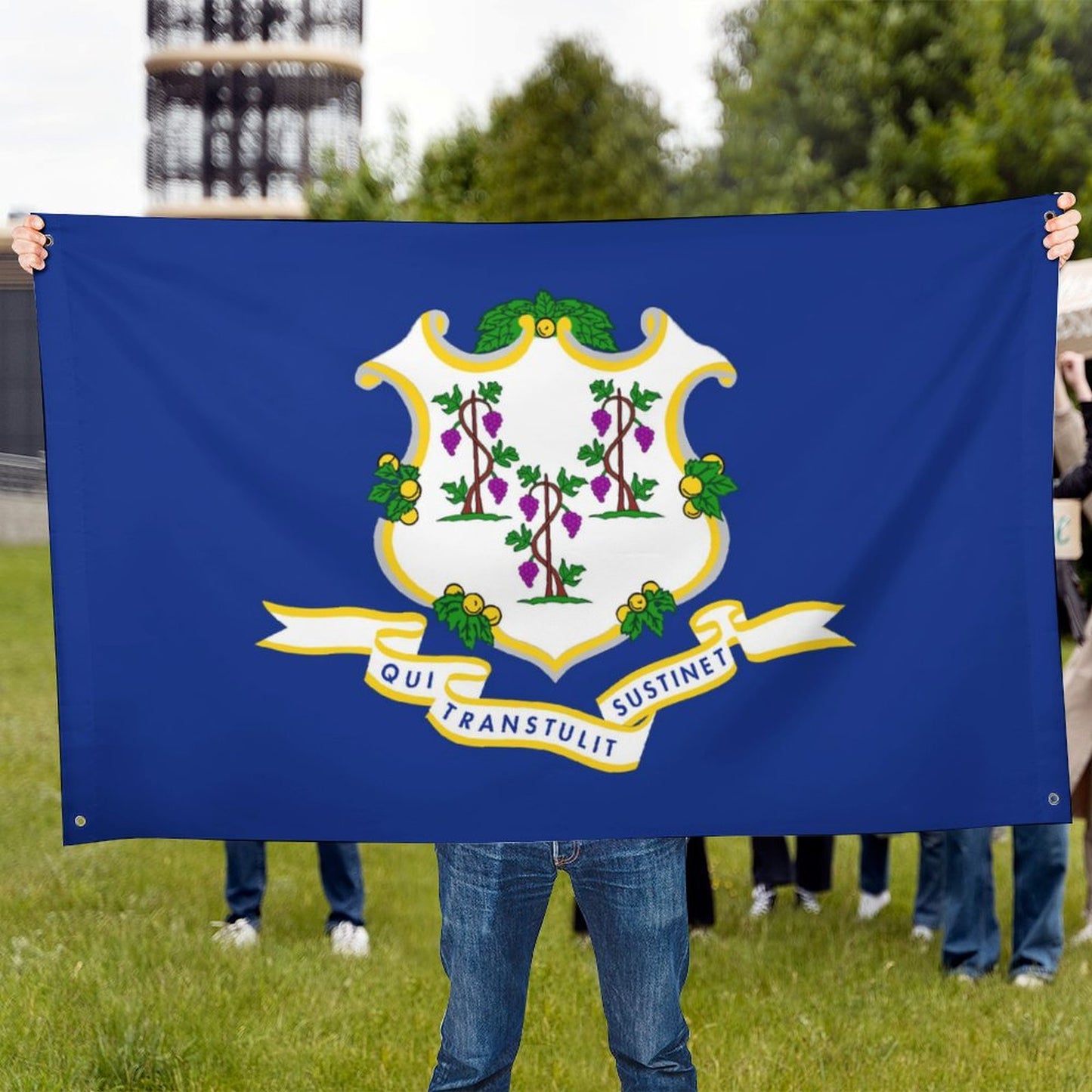 Connecticut Flag Inspired Wall Mount Flag with Four Grommets (35x59 in)