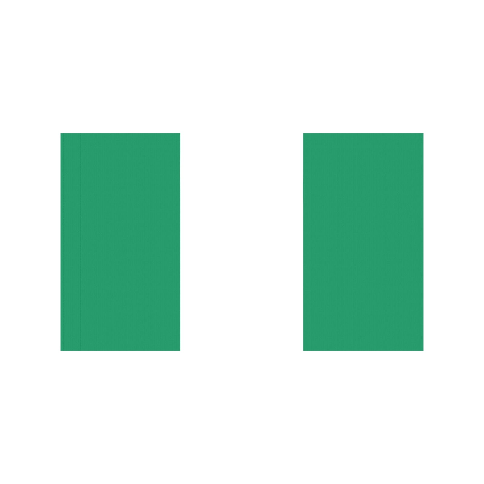 Two green rectangular flags by Luv My Flag, displayed.