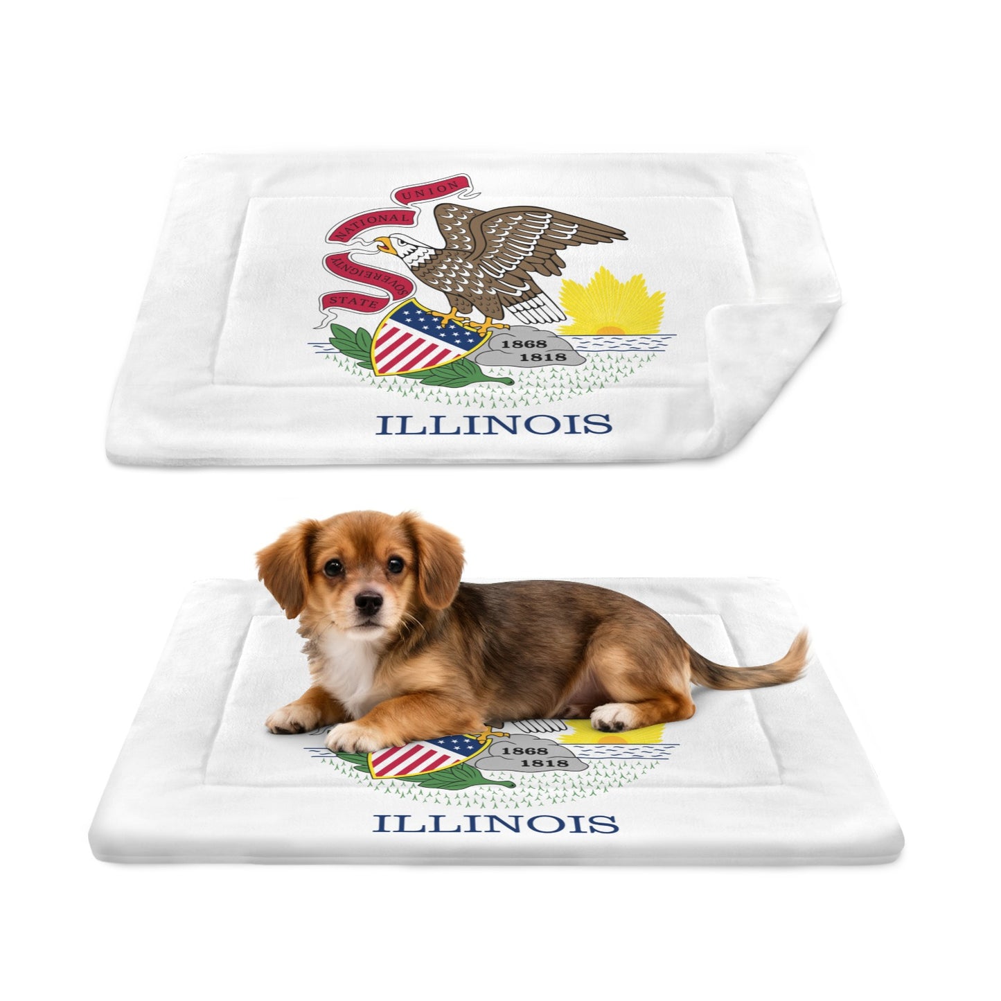 Illinois Flag Inspired Pet Mat 25x18inch (Made in the USA)
