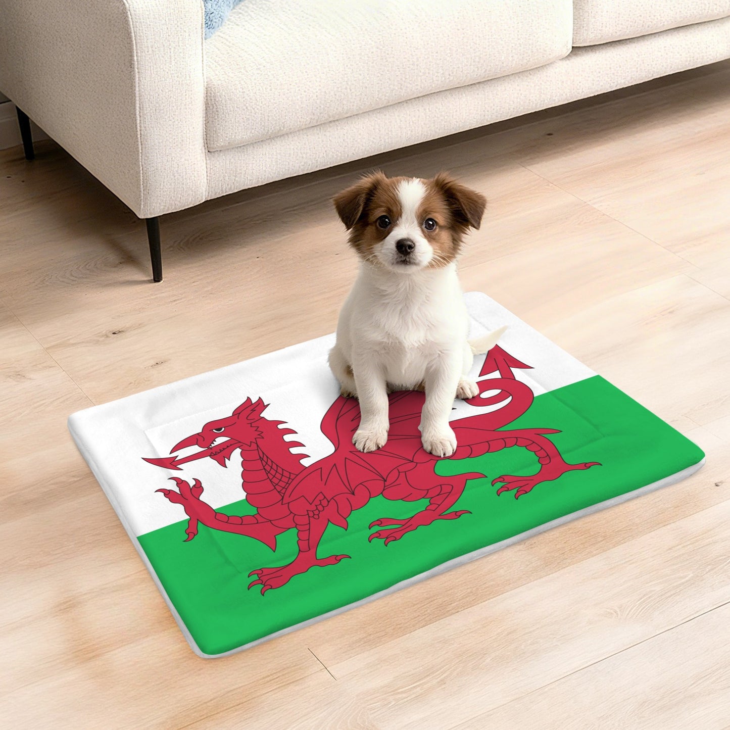 Wales Flag Inspired Pet Mat 25x18inch (Made in the USA)