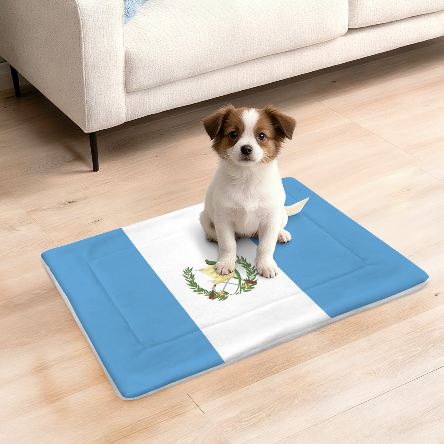 Guatamala Flag Inspired Pet Mat 25x18inch (Made in the USA)