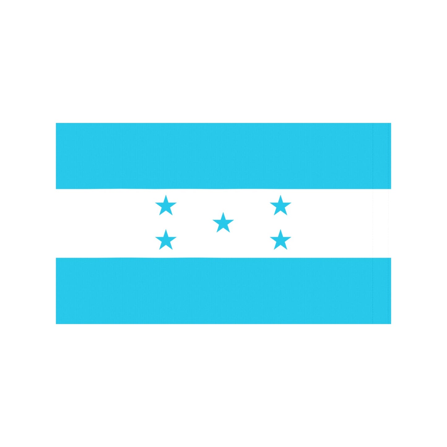 Five-star blue and white flag from Luv My Flag.