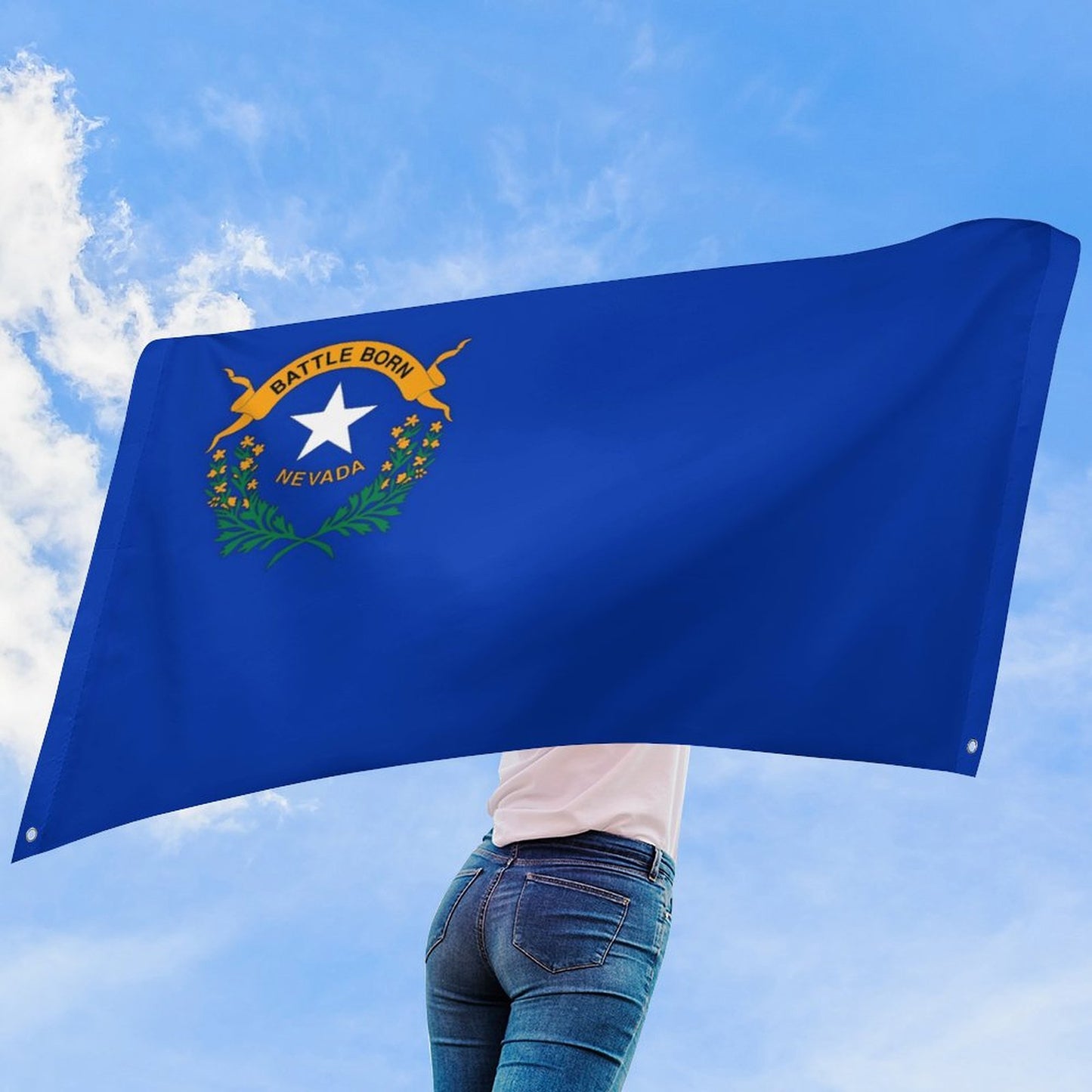 Nevada Flag Inspired Wall Mount Flag with Four Grommets (35x59 in)