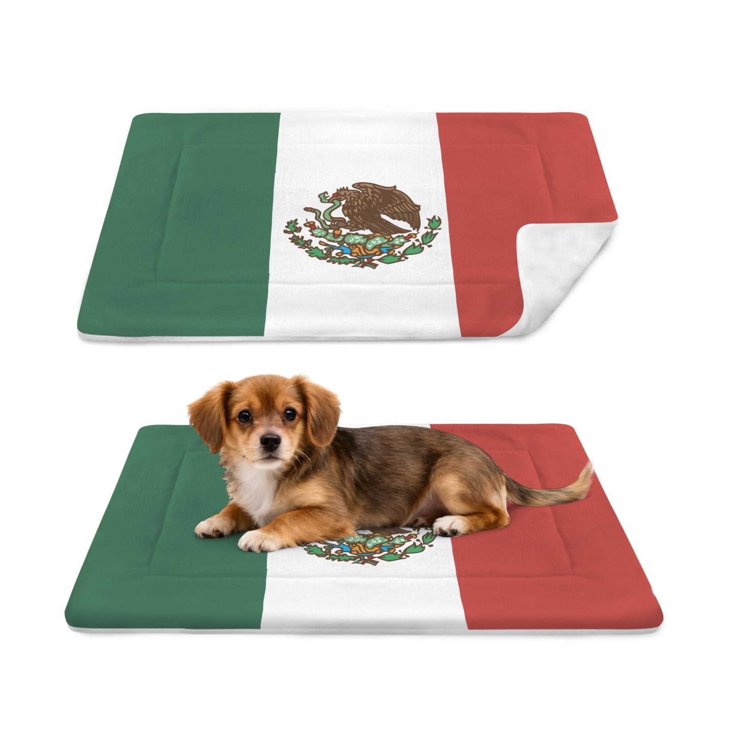Mexico Flag Inspired Pet Mat 25x18inch | Ships from USA