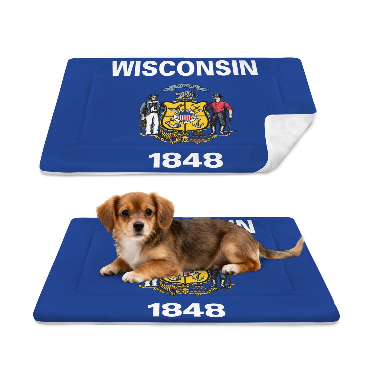 Wisconsin Flag Inspired Pet Mat 25x18inch (Made in the USA)