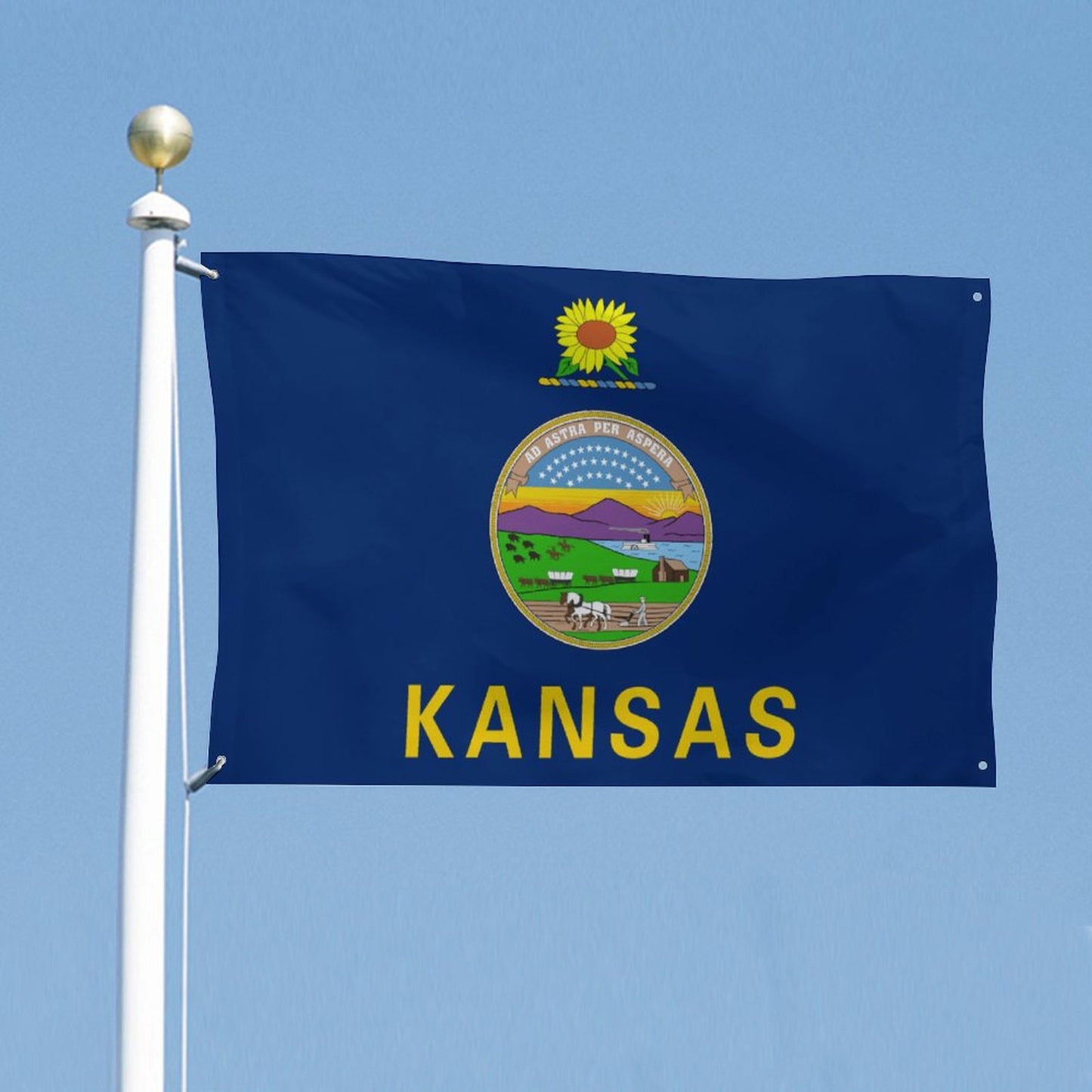 Kansas Flag Inspired Wall Mount Flag with Four Grommets (35x59 in)