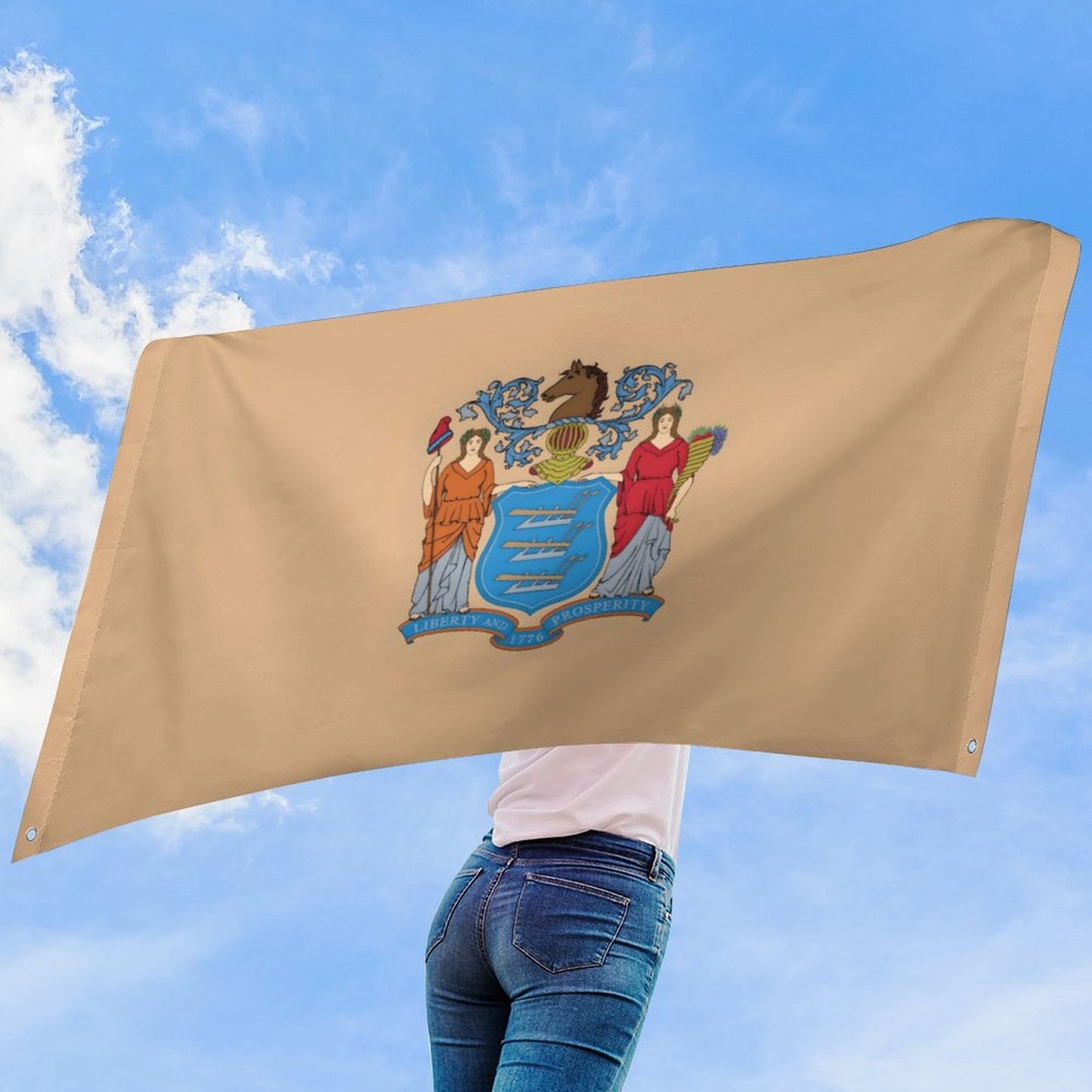 New Jersey Flag Inspired Wall Mount Flag with Four Grommets (35x59 in)