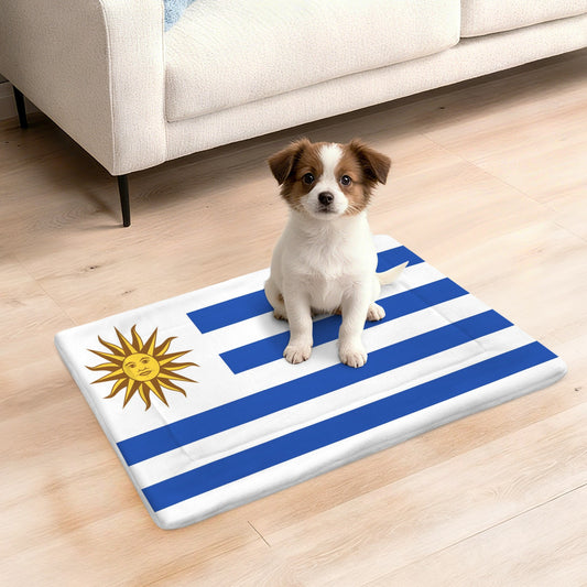 Uruguay Flag Inspired Pet Mat 25x18inch (Made in the USA)