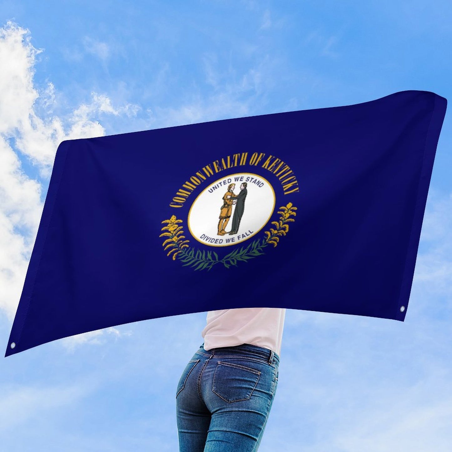 Kentucky Flag Inspired Wall Mount Flag with Four Grommets (35x59 in)