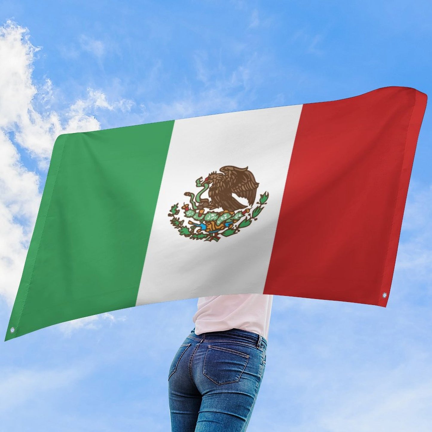 Mexico Flag Inspired Wall Mount Flag with Four Grommets (35x59 in)