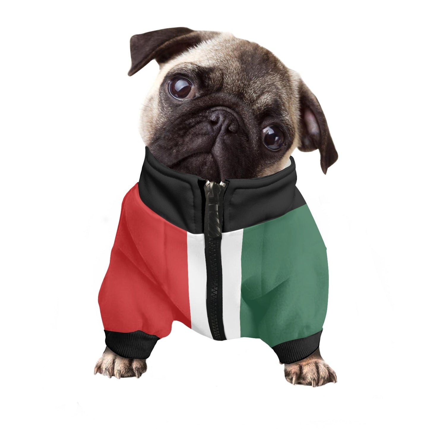 Mexico Flag Pet Hooded Sweatshirt