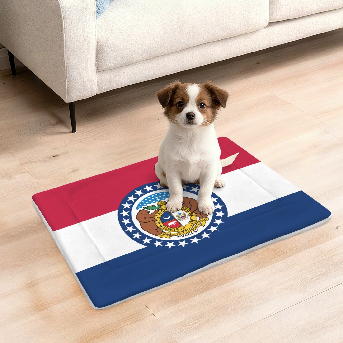 Missouri Flag Inspired Pet Mat 25x18inch (Made in the USA)
