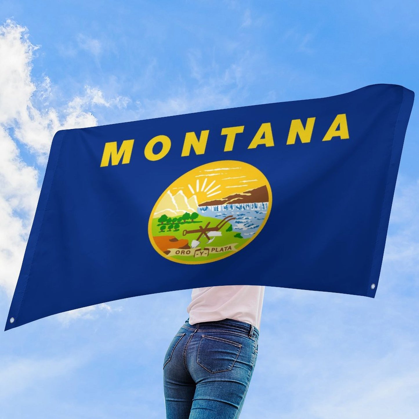 Montana  Flag Inspired Wall Mount Flag with Four Grommets (35x59 in)