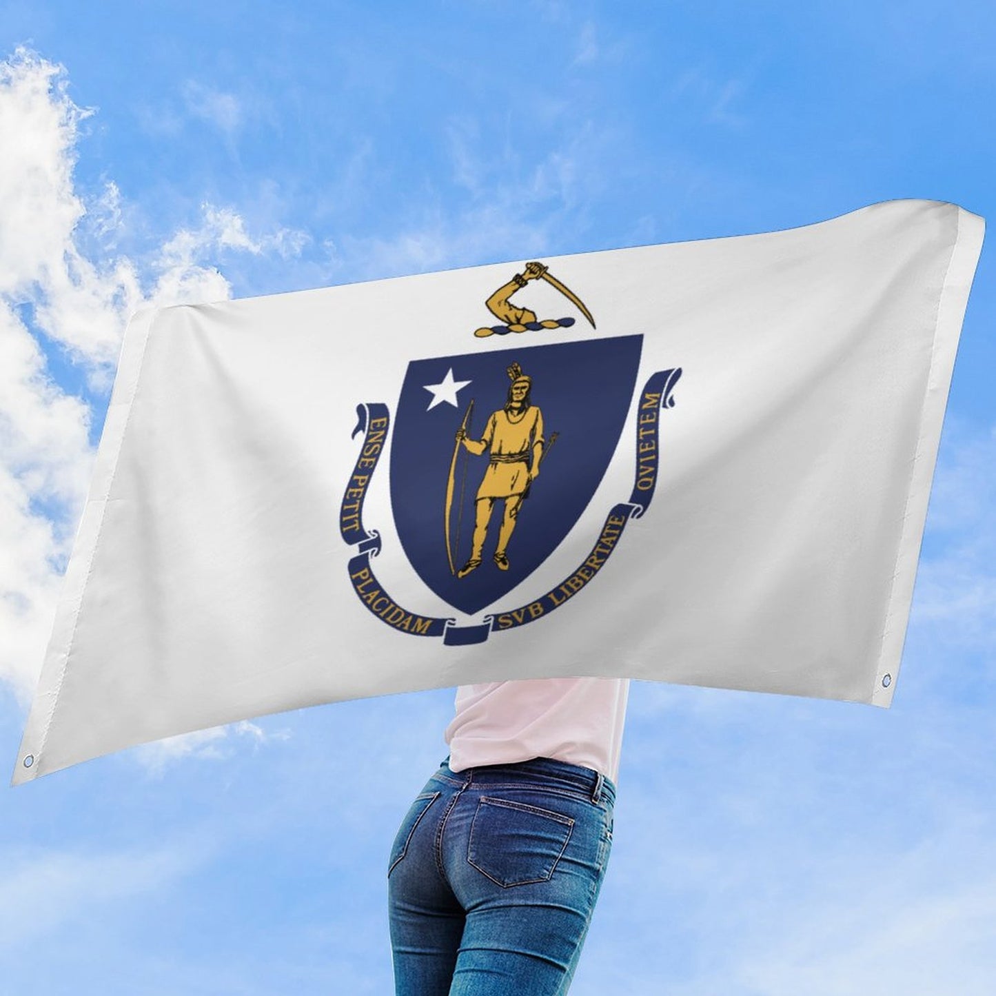 Massachusetts Flag Inspired Wall Mount Flag with Four Grommets (35x59 in)