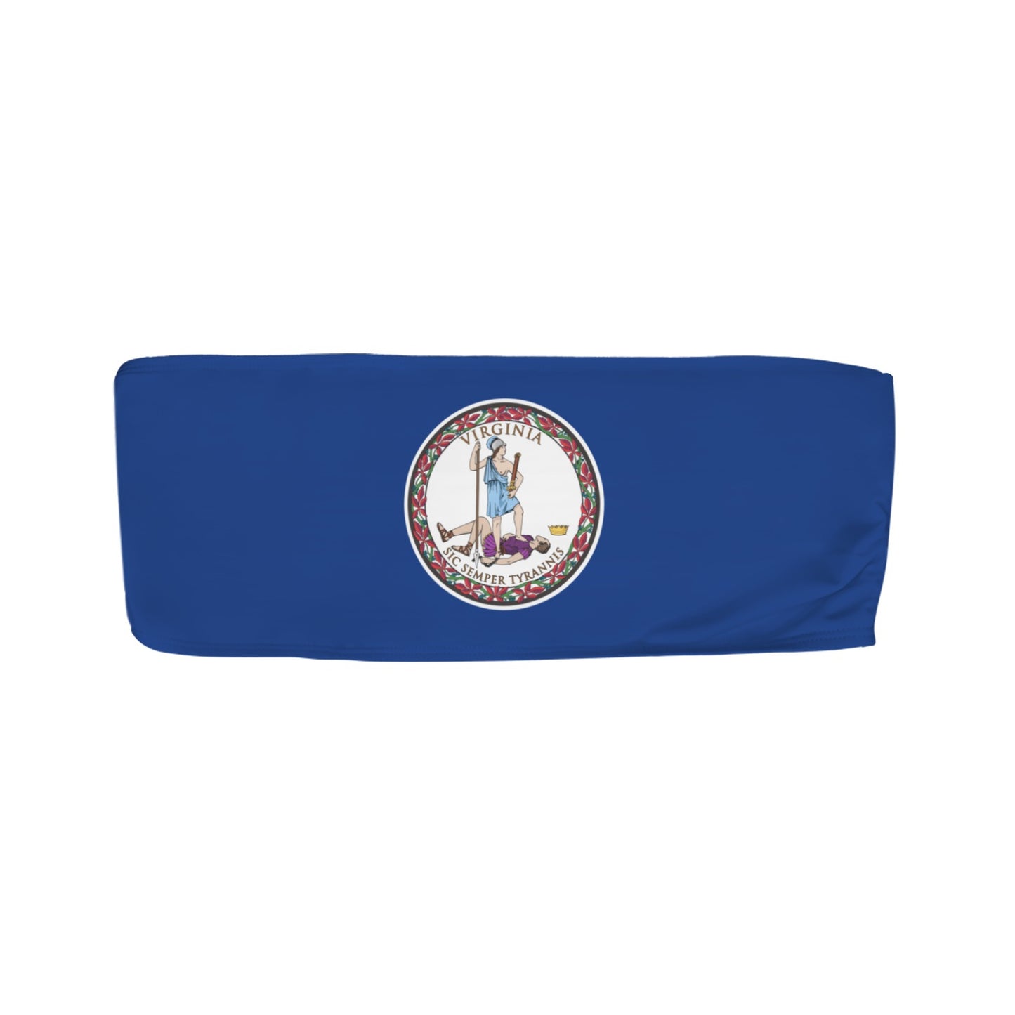 Virginia Flag Inspired Bandeau Tube Bikini Top