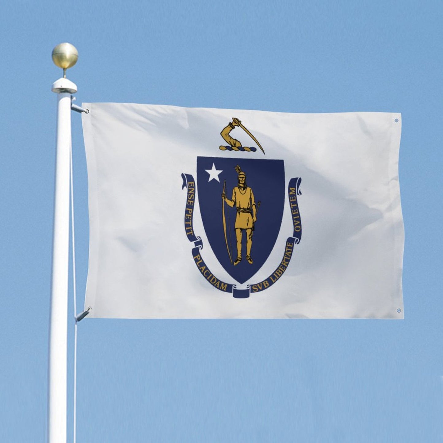 Massachusetts Flag Inspired Wall Mount Flag with Four Grommets (35x59 in)