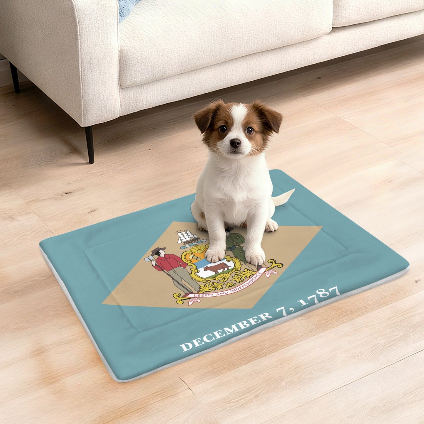 Delaware Flag Inspired Pet Mat 25x18inch (Made in the USA)