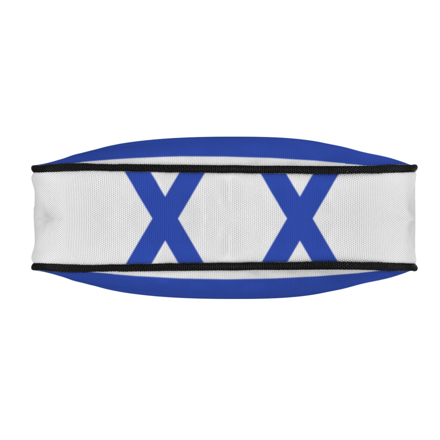 Israel Flag Inspired Women's Shoulder Bag