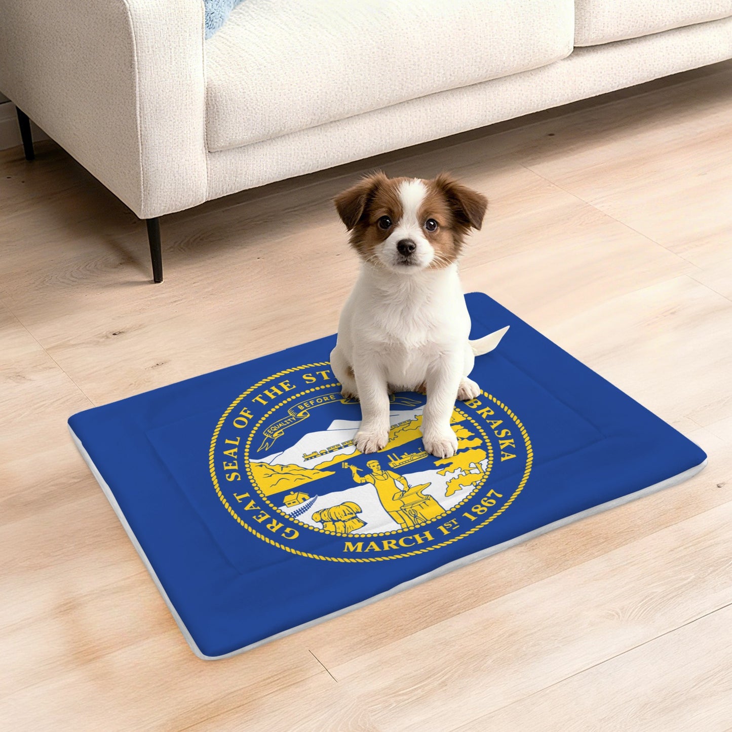 Nebraska Flag Inspired Pet Mat 25x18inch (Made in the USA)
