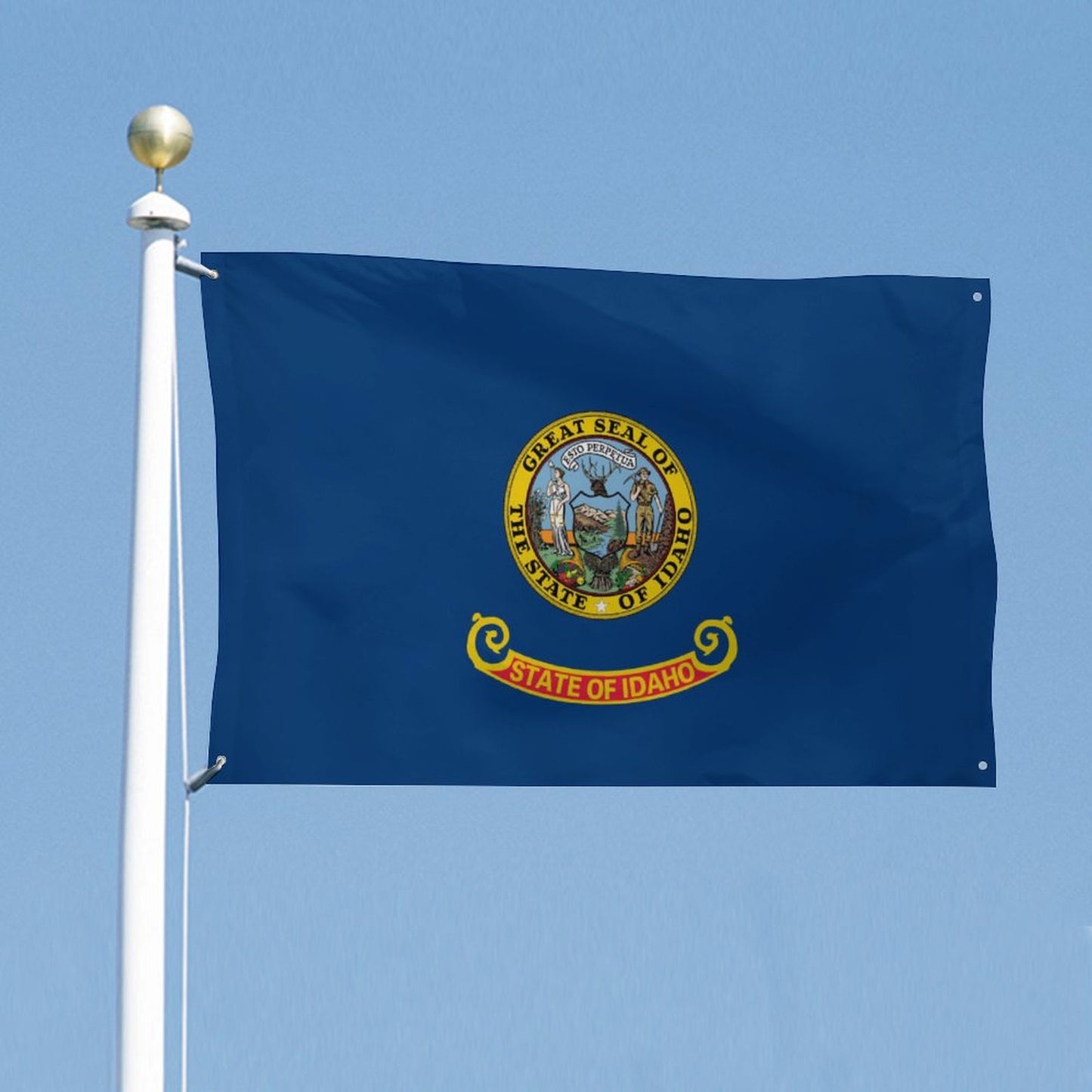 Idaho Flag Inspired Wall Mount Flag with Four Grommets (35x59 in)