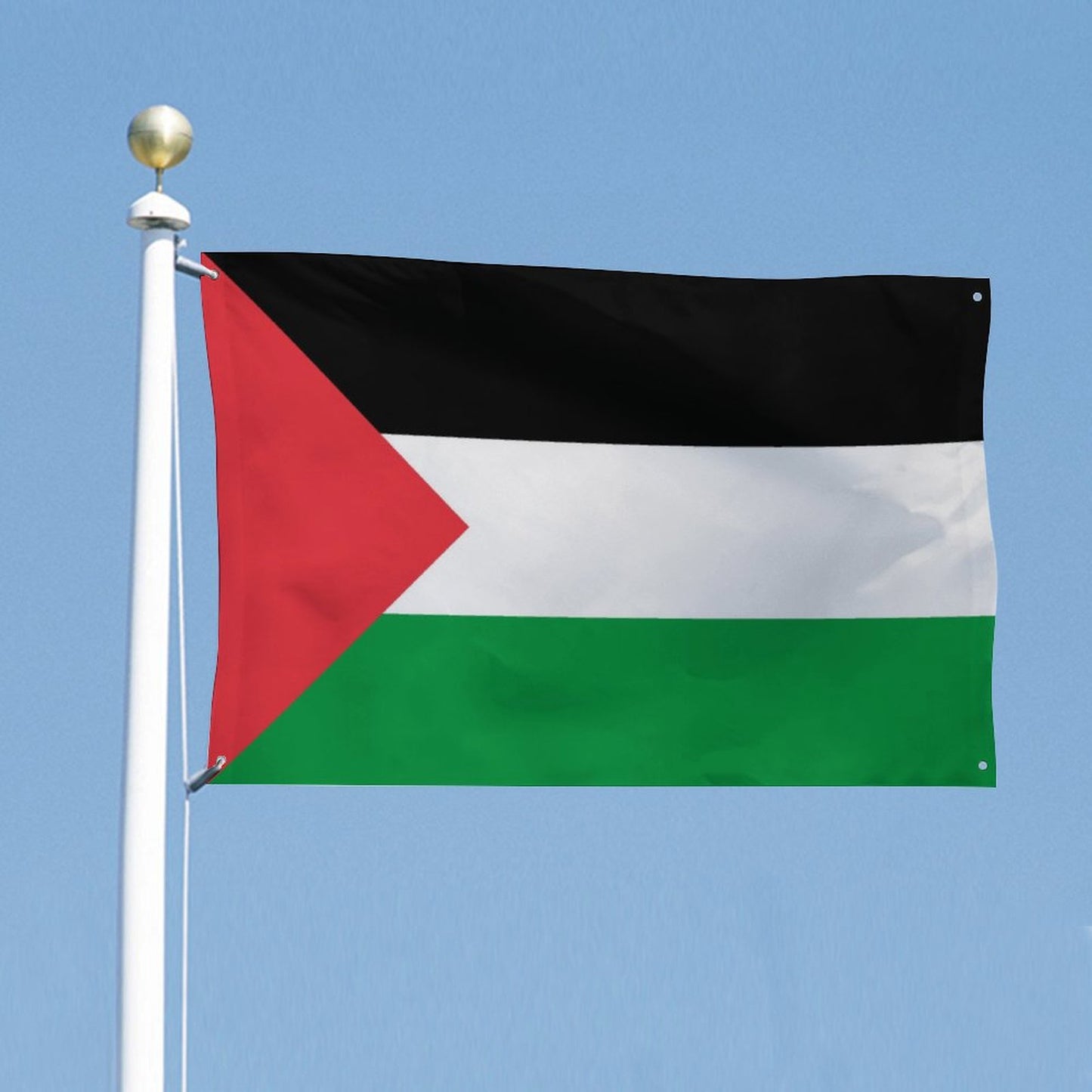 Palastine Flag Inspired Wall Mount Flag with Four Grommets (35x59 in)
