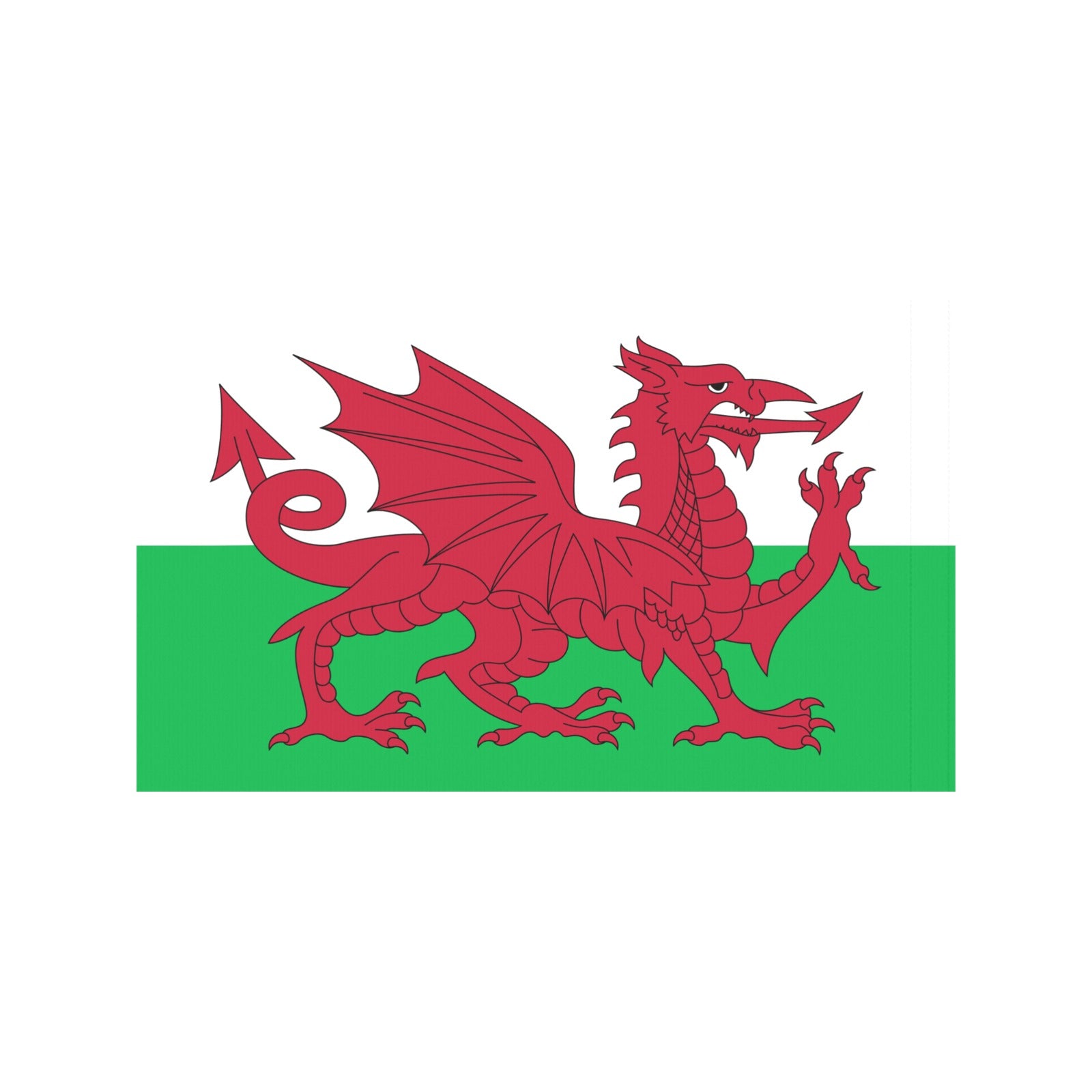 Red dragon on Wales flag by Luv My Flag.