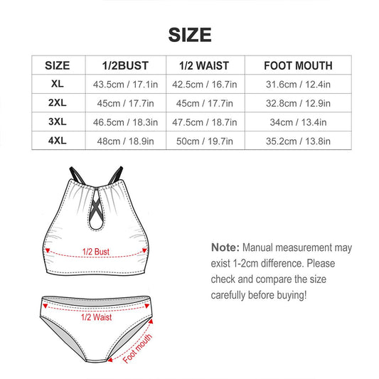 Rainbow Flag Inspired Plus Size High Waisted Bikini