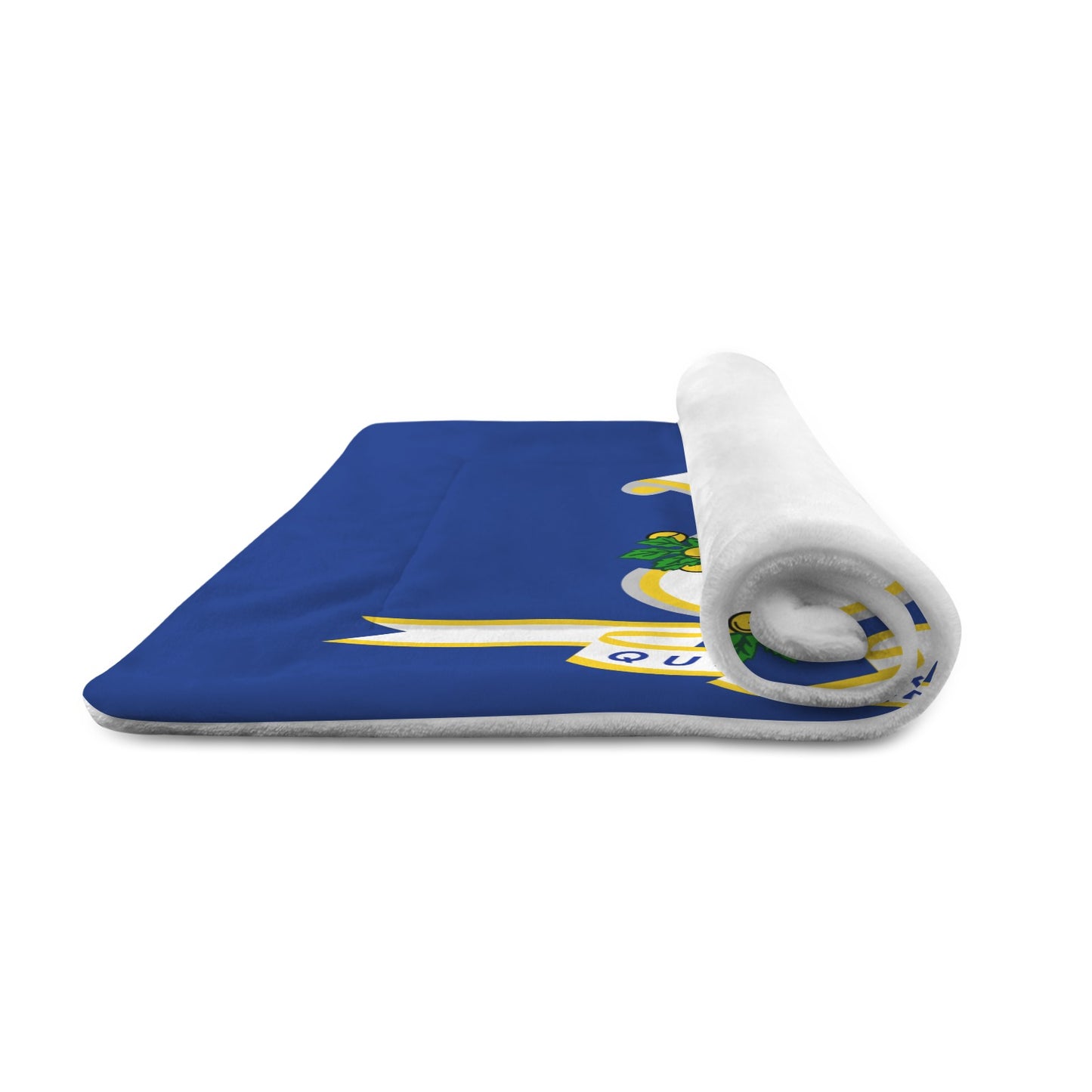 Connecticut Flag Inspired Pet Mat 25x18inch (Made in the USA)