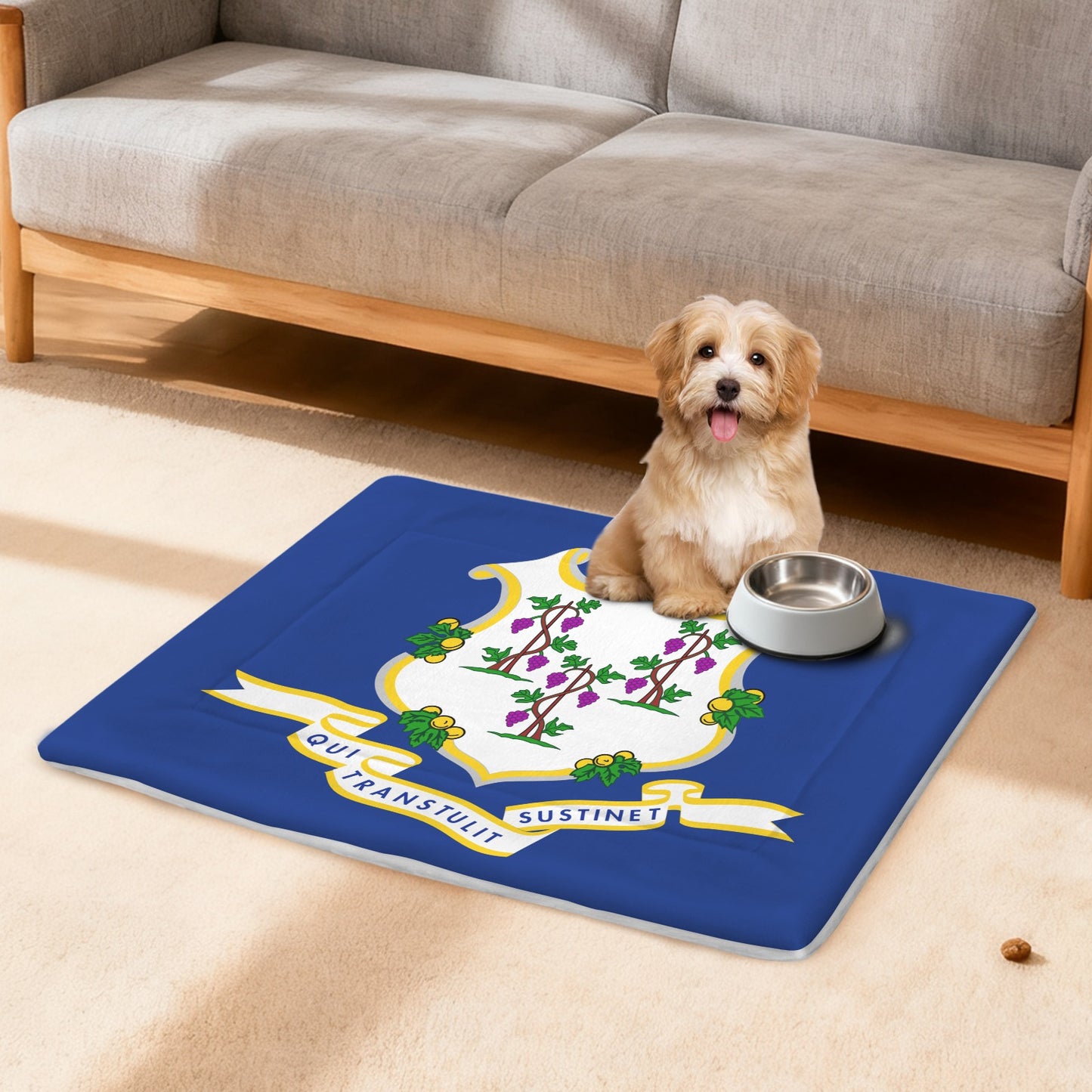 Connecticut Flag Inspired Pet Mat 25x18inch (Made in the USA)
