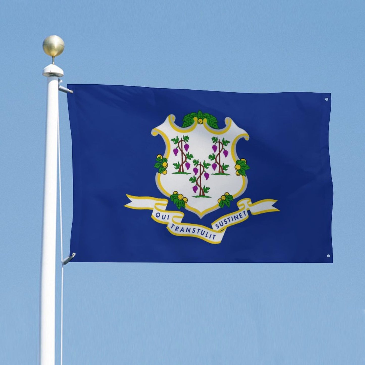 Connecticut Flag Inspired Wall Mount Flag with Four Grommets (35x59 in)
