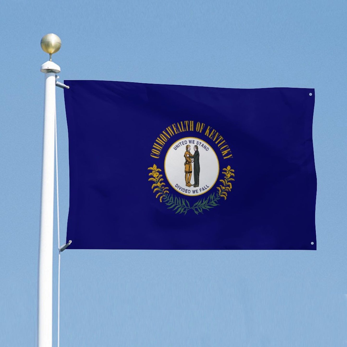 Kentucky Flag Inspired Wall Mount Flag with Four Grommets (35x59 in)