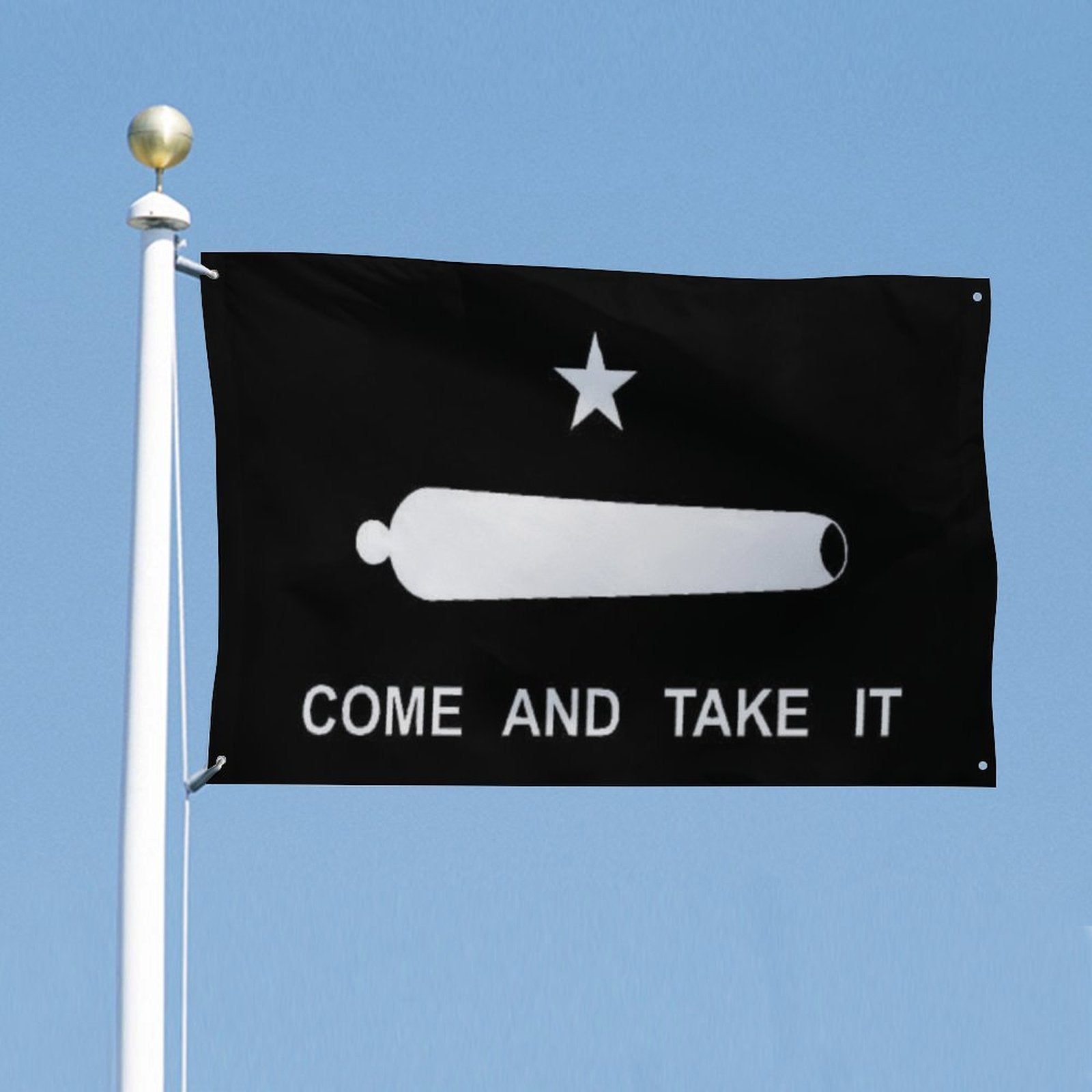 Black flag with white star and rolling pin symbol, featuring the text 'COME AND TAKE IT', against a clear blue sky.