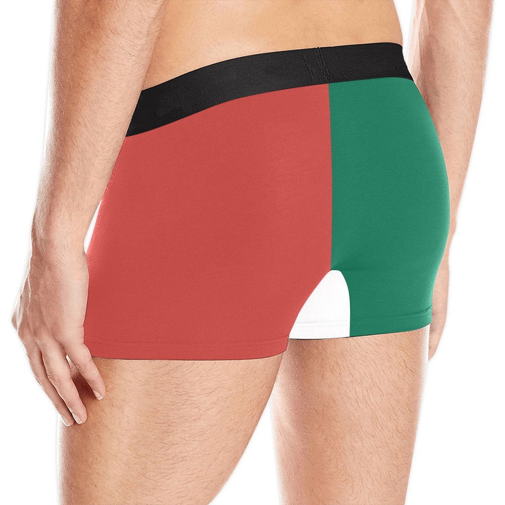 Mexico Flag Inspired Men's Boxer Briefs | Ships from the USA
