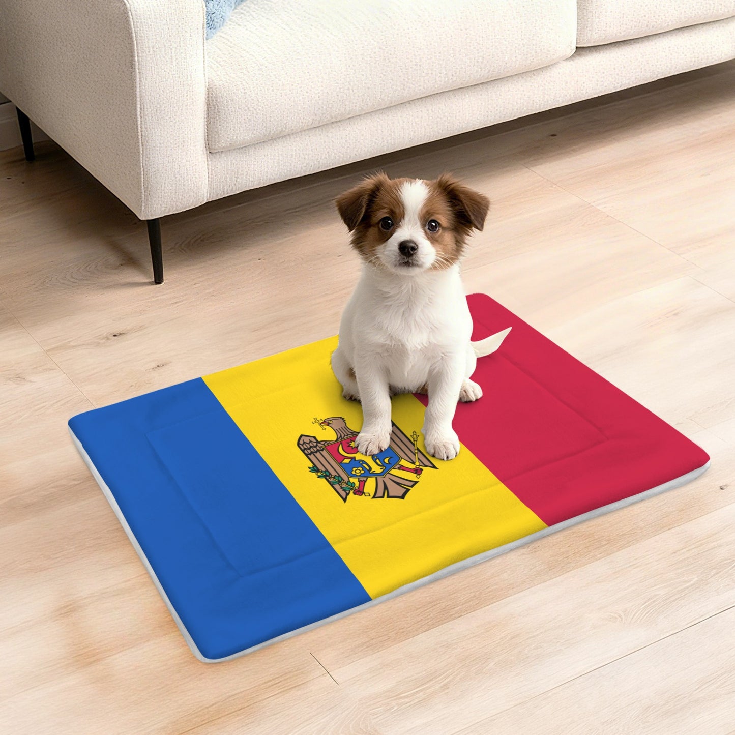 Moldova Flag Inspired Pet Mat 25x18inch (Made in the USA)