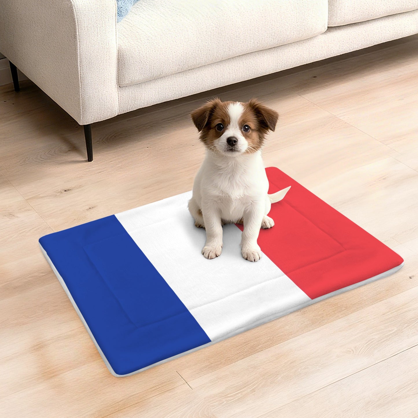 France Flag Inspired Pet Mat 25x18inch (Made in the USA)