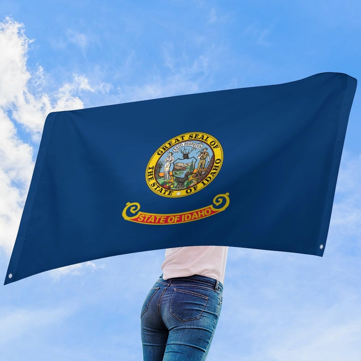 Idaho Flag Inspired Wall Mount Flag with Four Grommets (35x59 in)