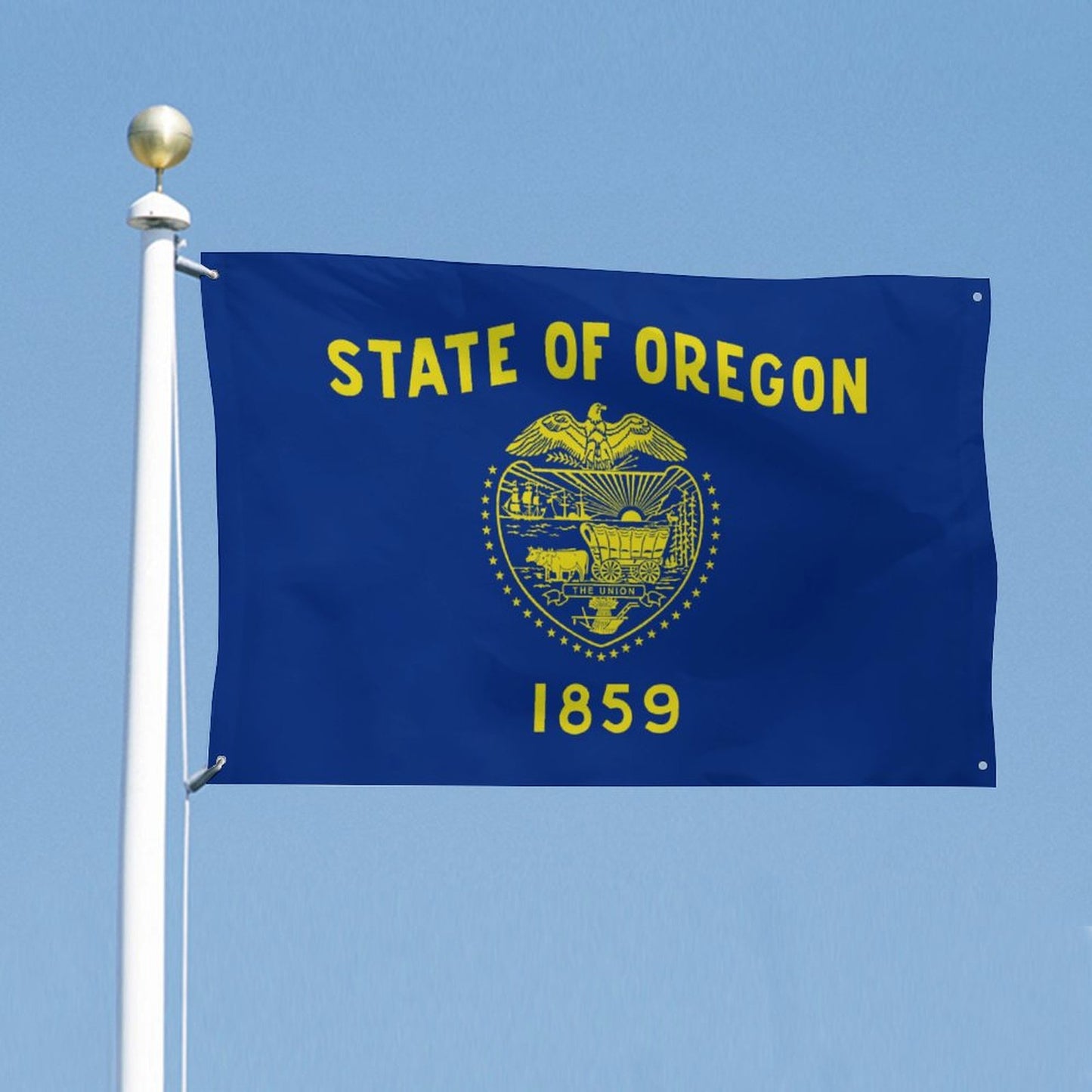 Oregon Flag Inspired Wall Mount Flag with Four Grommets (35x59 in)
