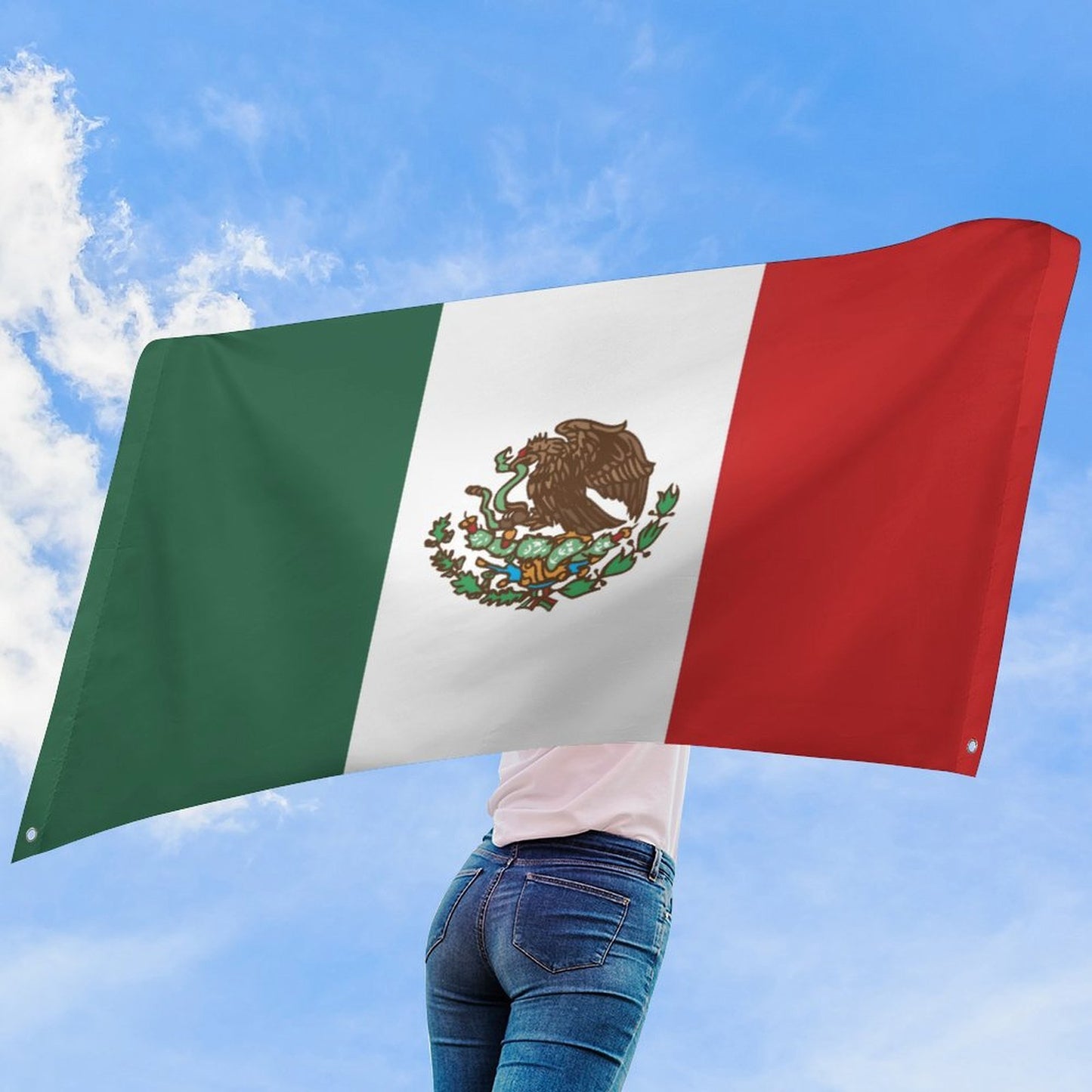 Mexico Flag Inspired Wall Mount Flag with Four Grommets (35x59 in)