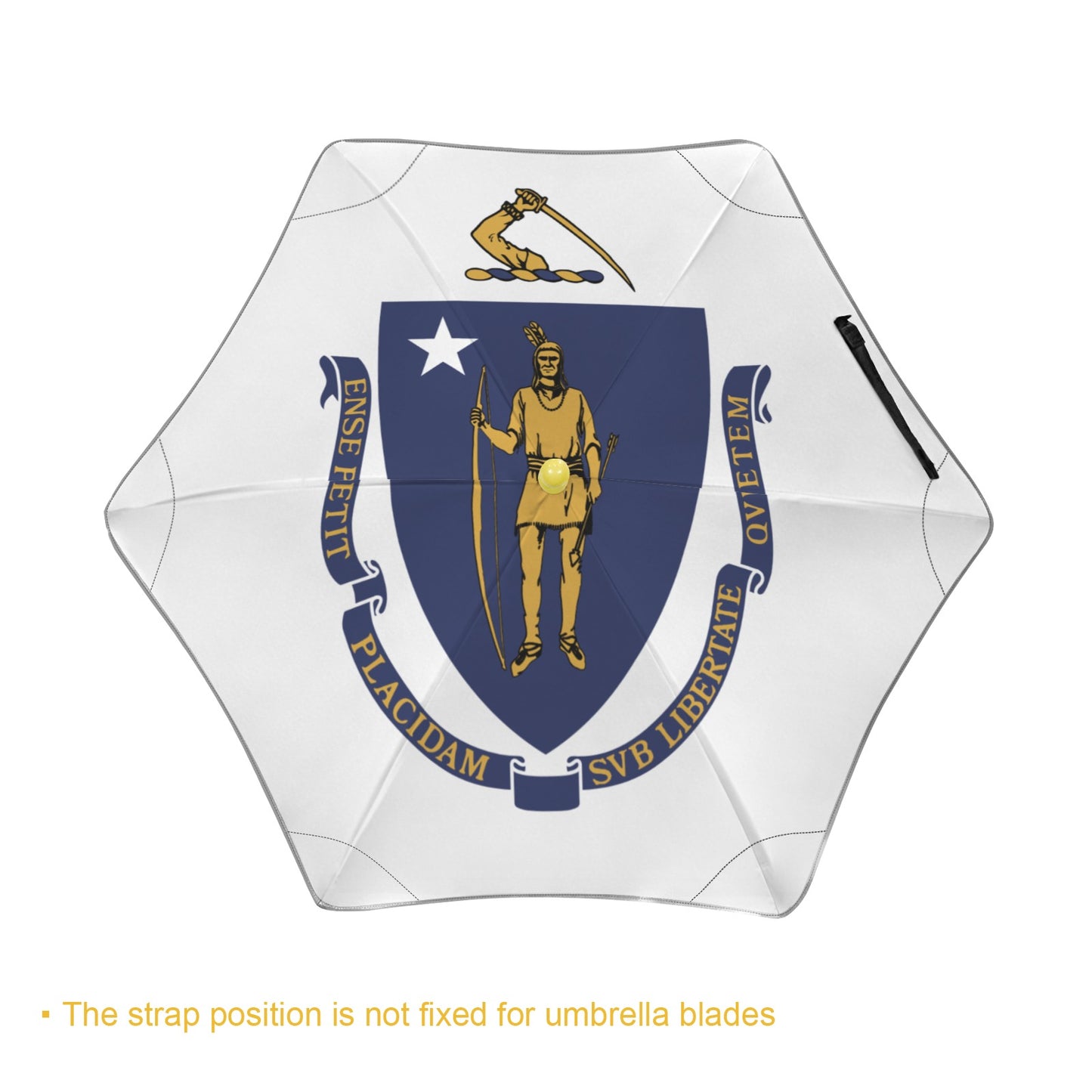 Massachusets Flag Inspired Kids Safe Round Corner Umbrella