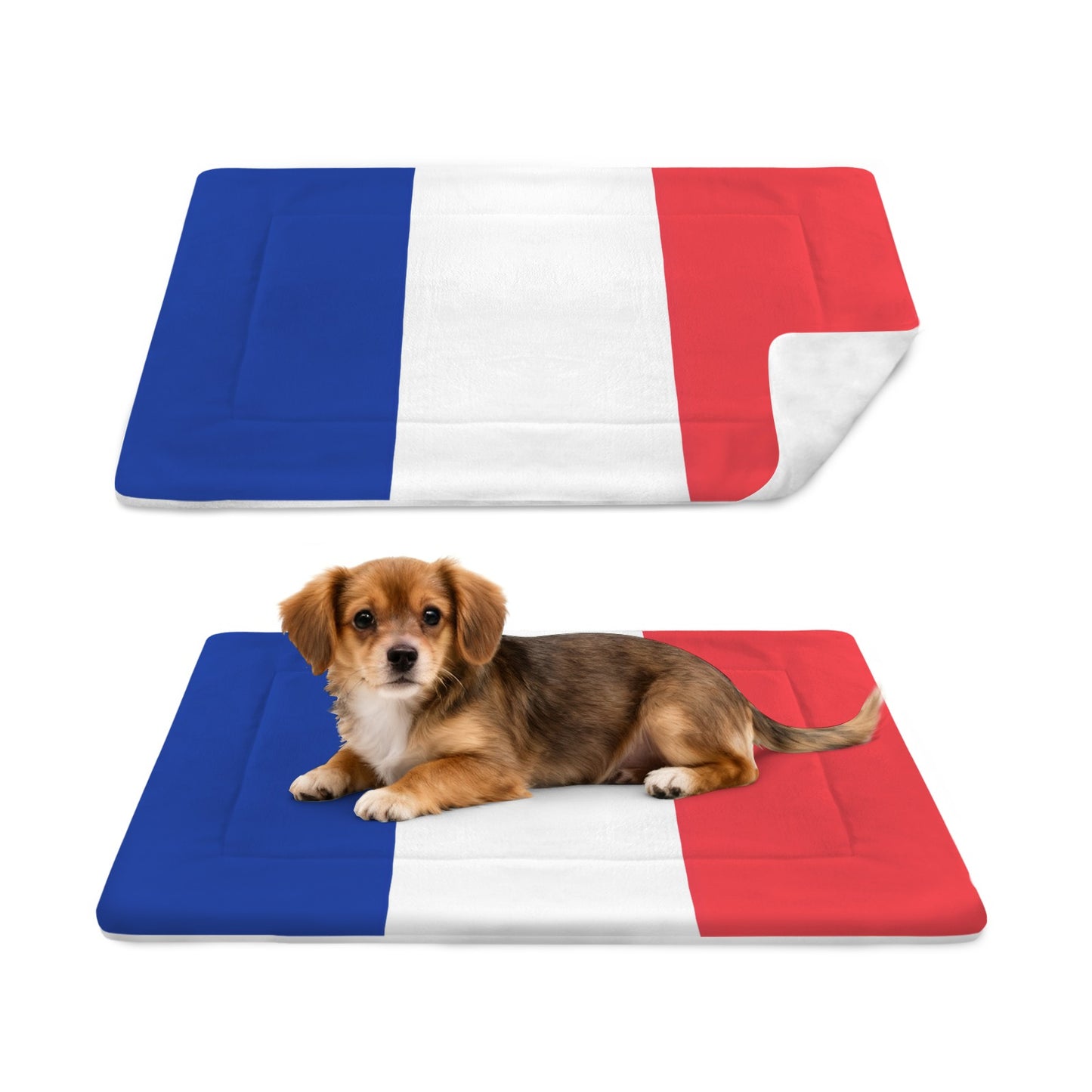 France Flag Inspired Pet Mat 25x18inch (Made in the USA)