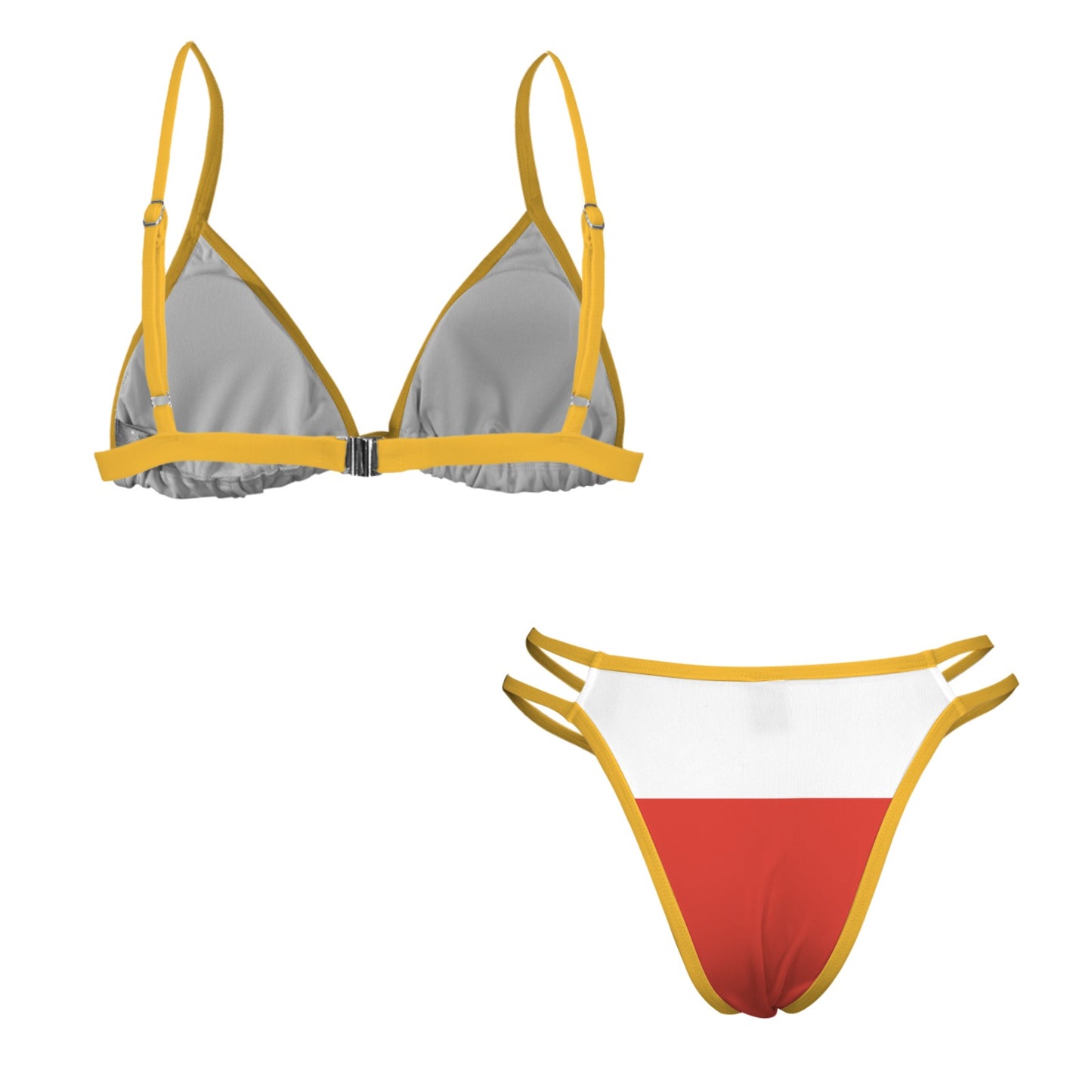Iran Lion and Sun Flag Inspired V Neck Triangle Bikini Sets